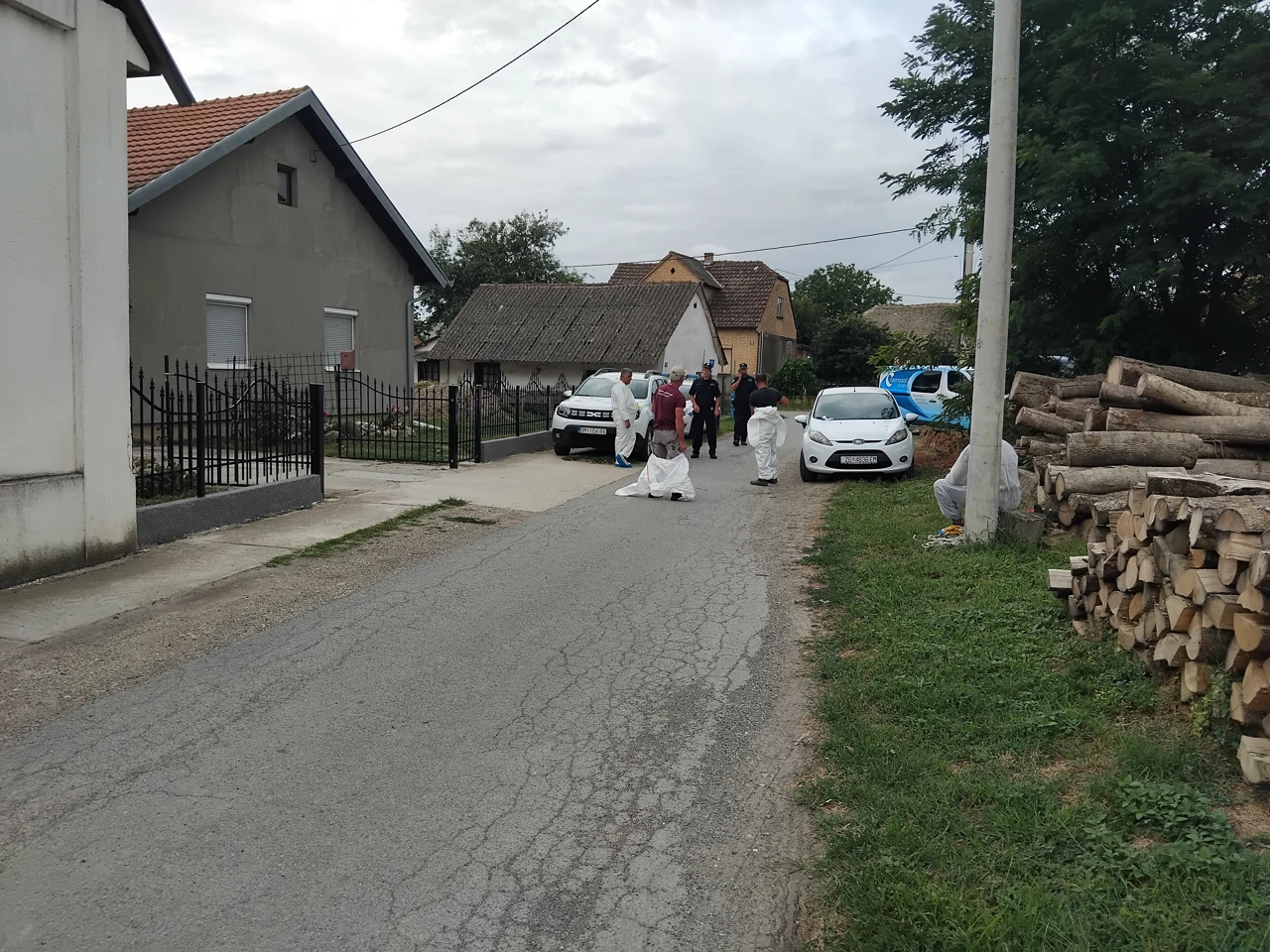 Eutanazija svinja na području Općine Jagodnjak
