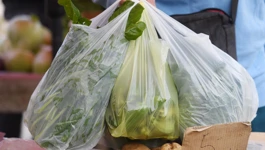 Lagane plastične vrećice