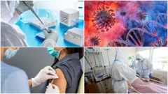 Koronavirus