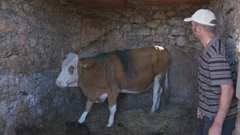 Obitelj Milanko strahuje za stoku i sebe: