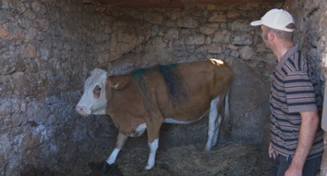 Obitelj Milanko strahuje za stoku i sebe: