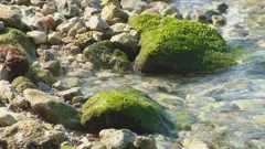 Fekalije na plaži u Zadru