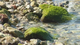 Fekalije na plaži u Zadru