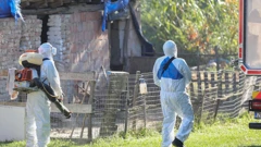 Odvoz svinja iz Vardarca