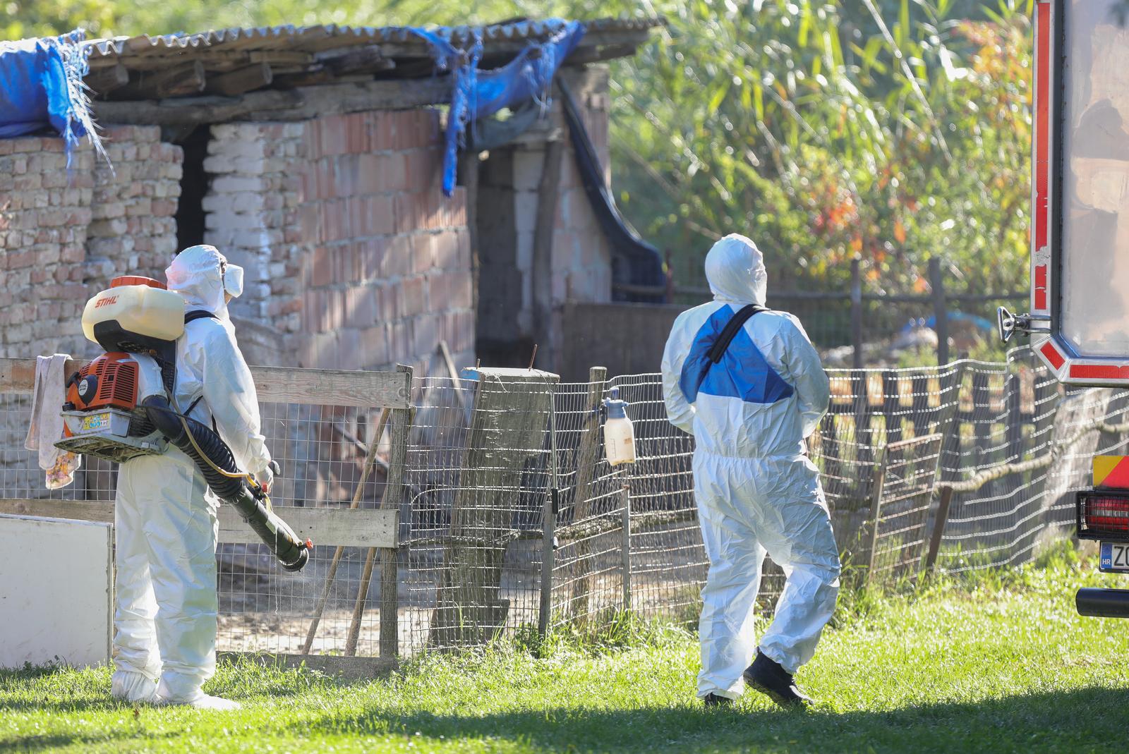 Die Tierärztekammer unterstützte die Maßnahmen des Krisenstabs im Kampf gegen die Schweinepest 2 pxl 190925 138667336 20250921165215