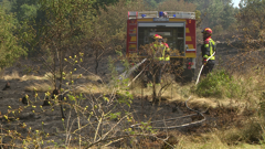 Požari u Istri, Foto: HRT/HRT