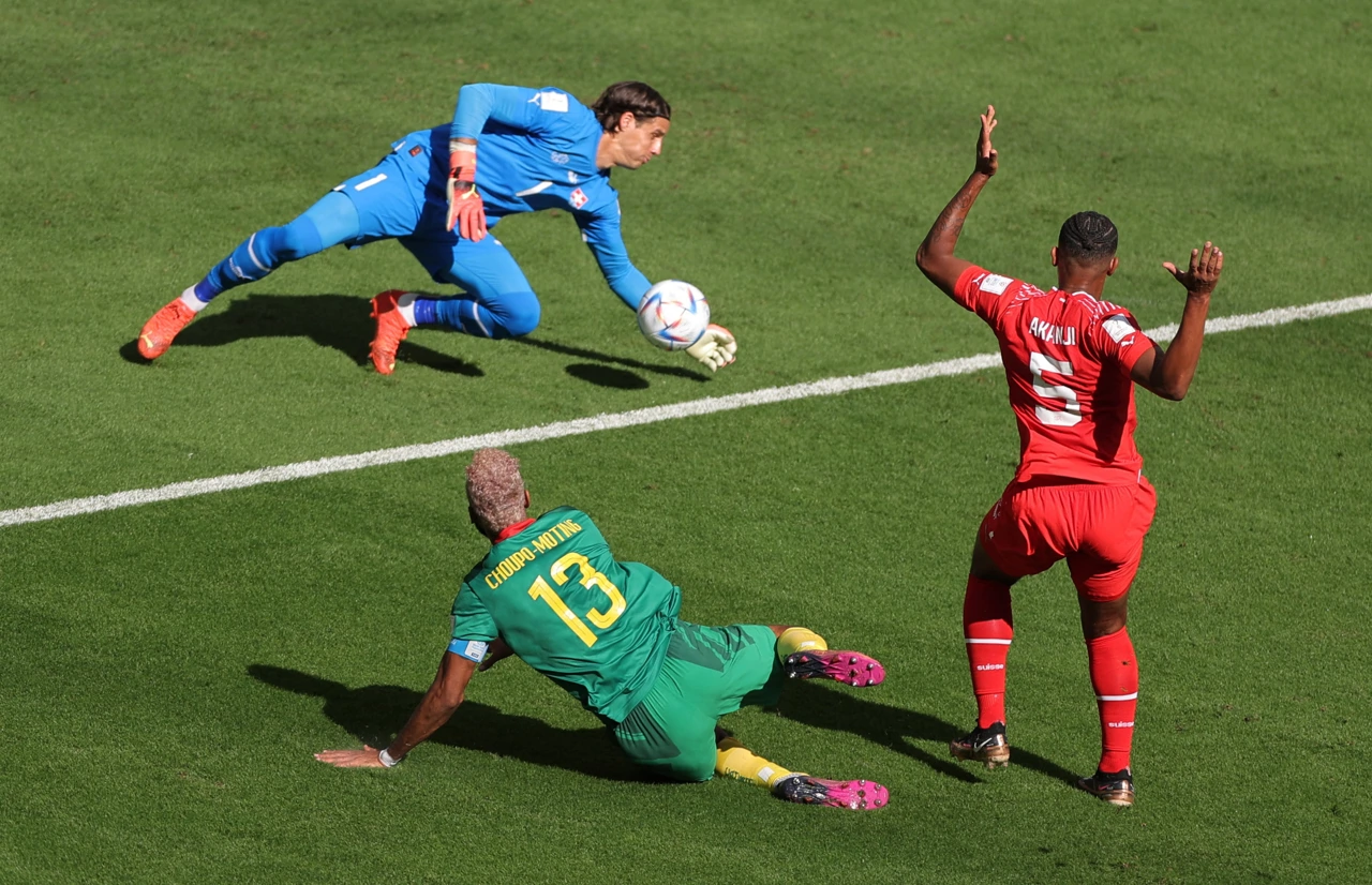 Švicarska - Kamerun, Foto: Marko Djurica/REUTERS