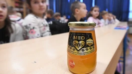 "Medni dan" u šibenskoj školi Jurja Šižgorića 
