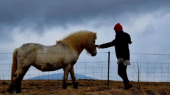 Utorak, 10. listopada na Prvom , Foto: Sretni gradovi/dokumentarna serija