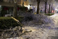 poledica, Foto: L.G./HRT