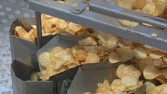 Nedostatak krumpira u Europi prilika je za domaću industriju