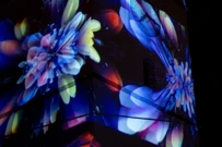 Svjetlarna Lovran, Foto: Lisa Nimabegu/Svjetlarna Lovran