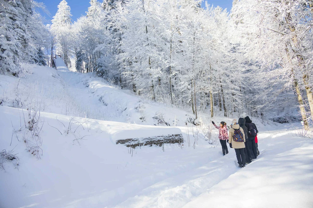 Šetnje po snijegu u Gorskom kotaru, Foto: privatni arhiv/Lynx & Fox
