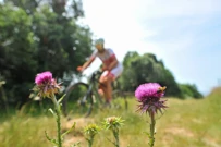 Biciklistička ruta, Foto: TZ Vodnjan/ustupljena fotografija