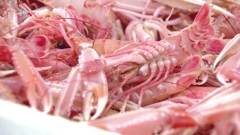 Zaštićena Jabučka kotlina, Foto: Plodovi zemlje/HRT