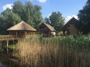 Naturpark Kopački rit (Foto: Antunela Rajič), Foto: -/-
