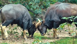Ponedjeljak, 10. studenoga na Drugom