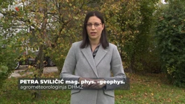 Petra Sviličić