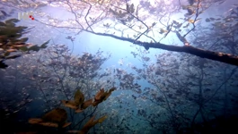 Jezero Ponikve očarava iznad i ispod površine