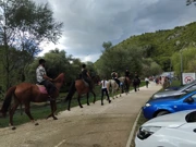 Krka fest, Foto: L.G./HRT