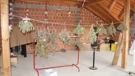 U kući i dvorištu u Gornjem Desincu pronađena razna droga