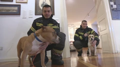 Vatrogasci za udomljavanje životinja