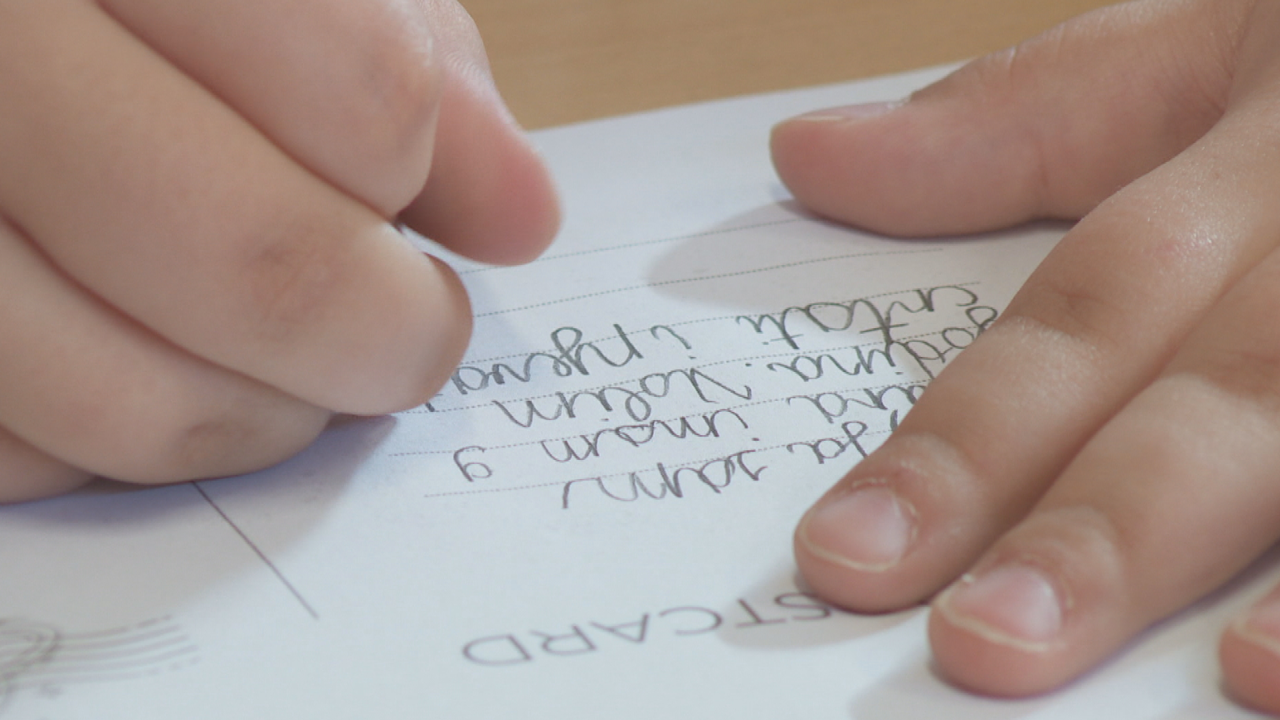 Učenik u OŠ Domovinske zahvalnosti u Kninu