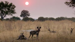 Srijeda, 20. kolovoza na Prvom