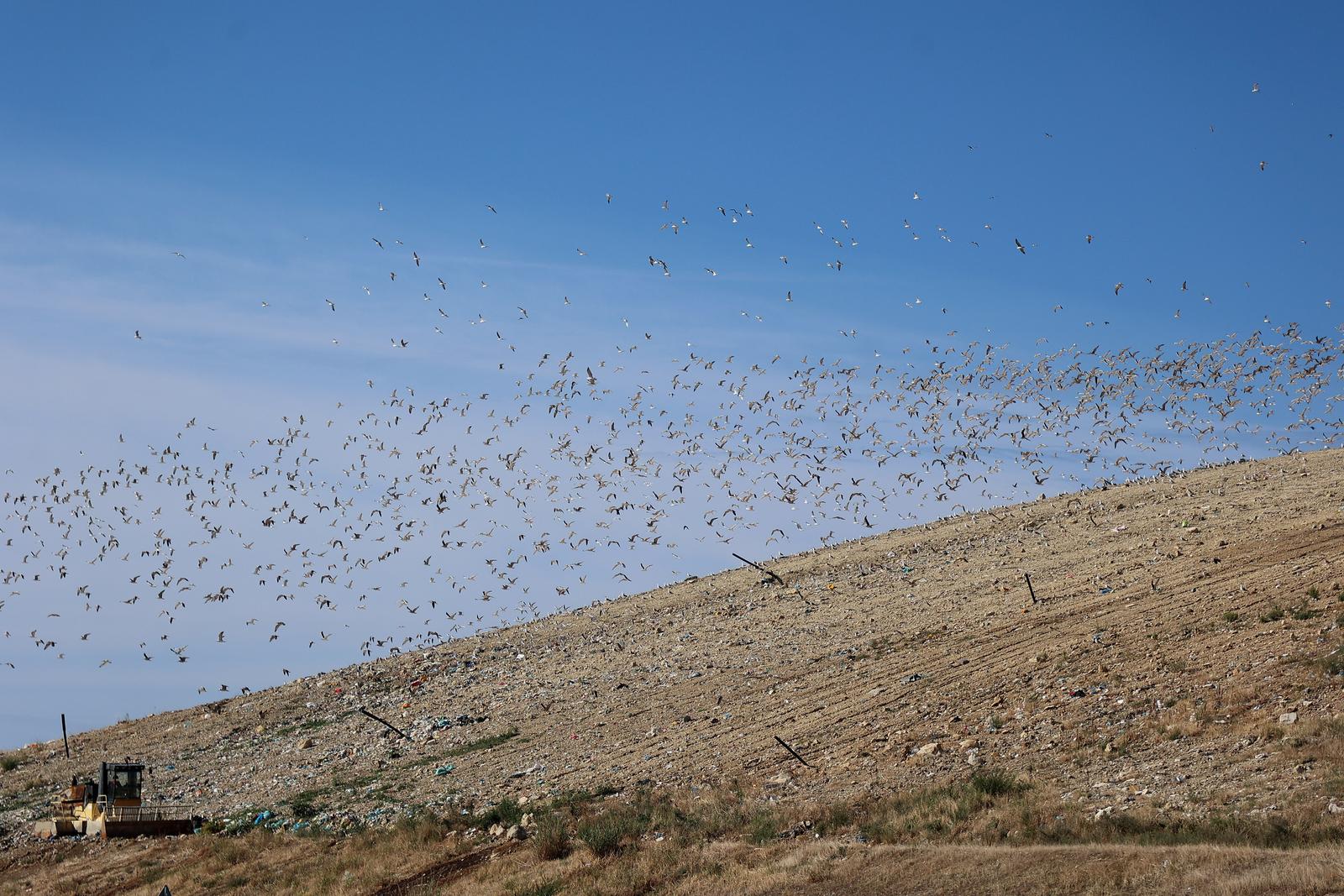 pxl 270925 139143504 20260114145232