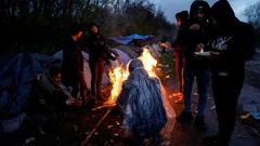 Migranti