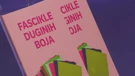 Knjiga 'Fasickle duginih boja' na promociji