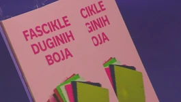 Knjiga 'Fasickle duginih boja' na promociji