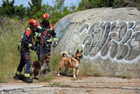 Vatrogasni timovi iz cijele zemlje održavaju redovitu vježbu potrage i spašavanja, Foto: Sasa Miljevic/PIXSELL