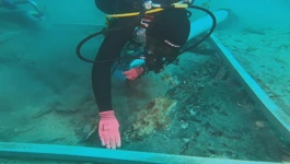 U potonulom jedrenjaku pronađene mjedene trube s kraja 16. stoljeća