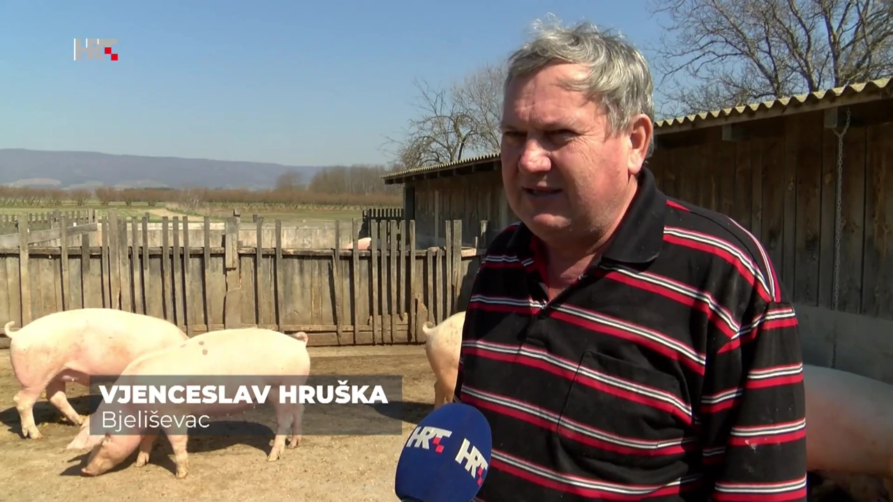 Vjenceslav Hruška
