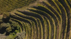 Utorak, 28. siječnja na Prvom , Foto: Oči sokolove/dokumentarna serija 