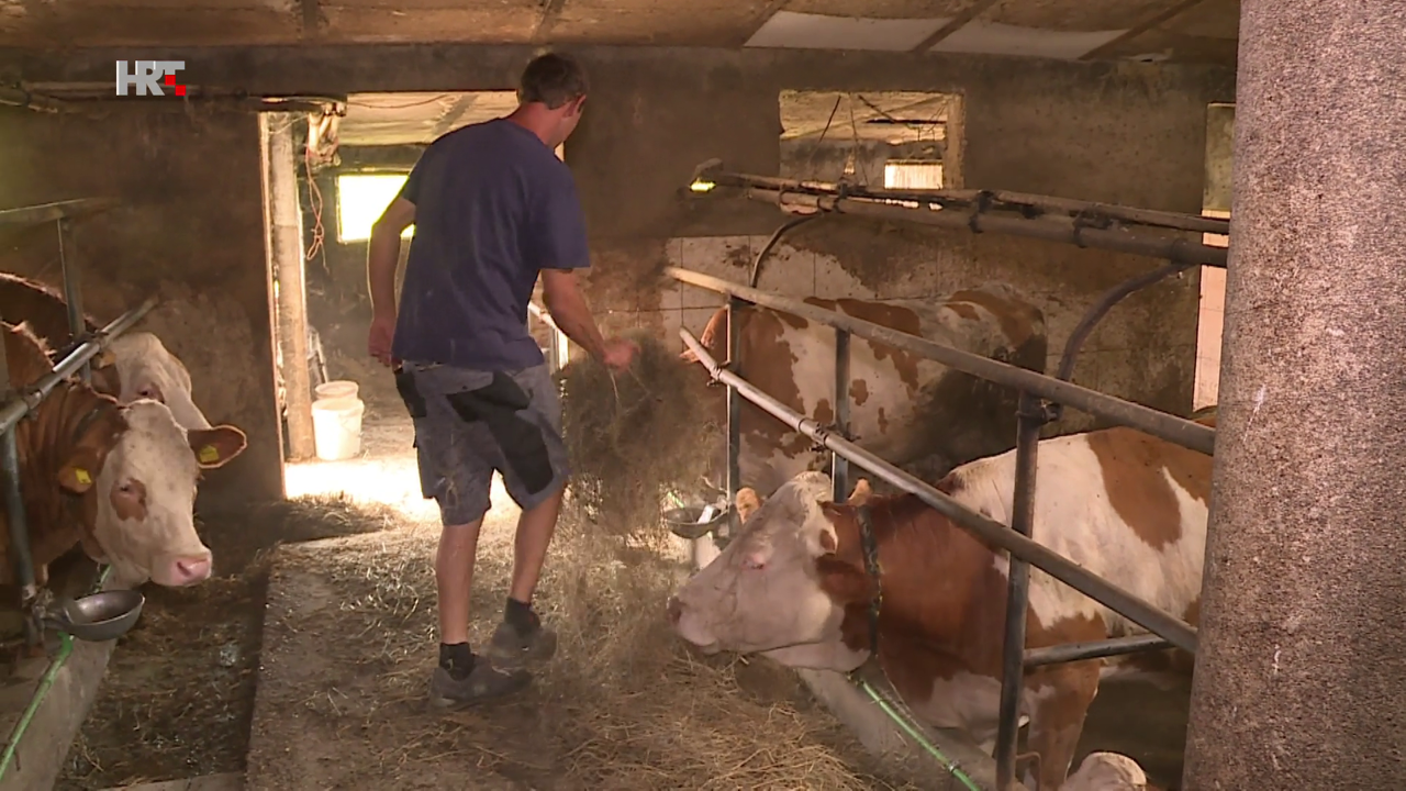 Stočar Mario Posedi, Železna Gora