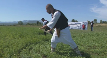 Kosci prvi na stazi časti: Kupreška kosa otvara put Alci