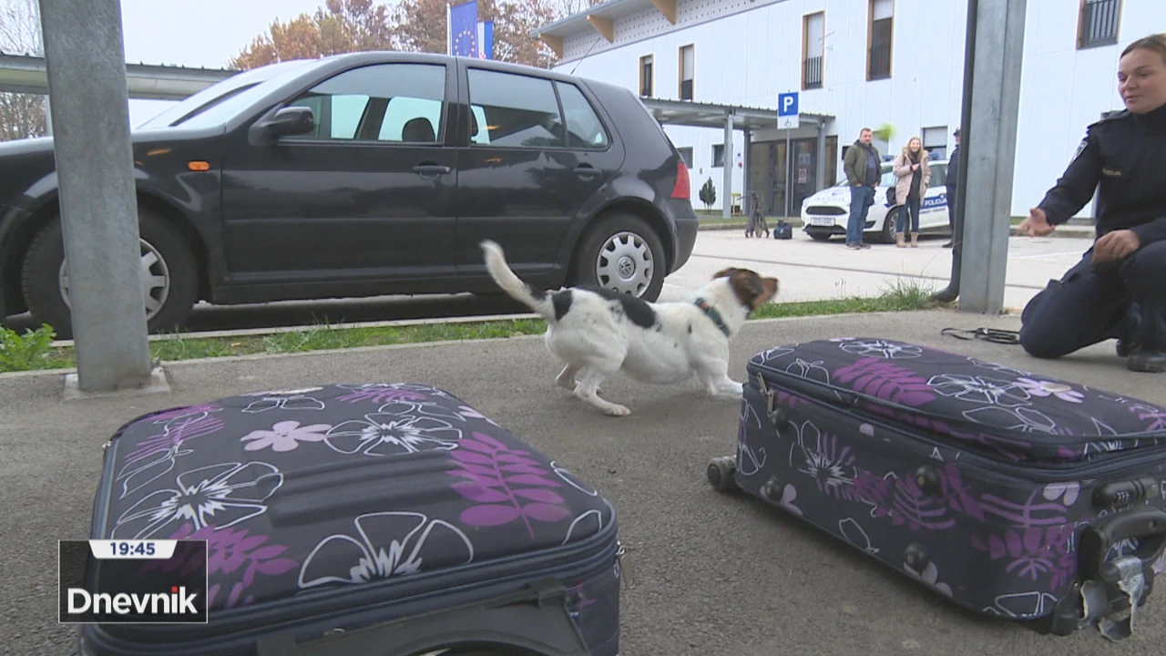 Kujica Snoopy, noćna mora krijumčara droge  
