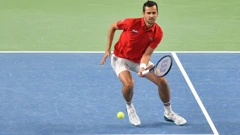 Mate Pavić