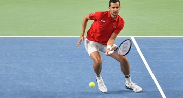 Mate Pavić