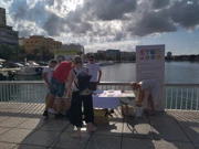 Eko akcija Daj ruku za čiste Jazine, Foto: Maja Milin/-