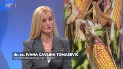 Ivana Čavlina Tomašević