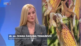 Ivana Čavlina Tomašević