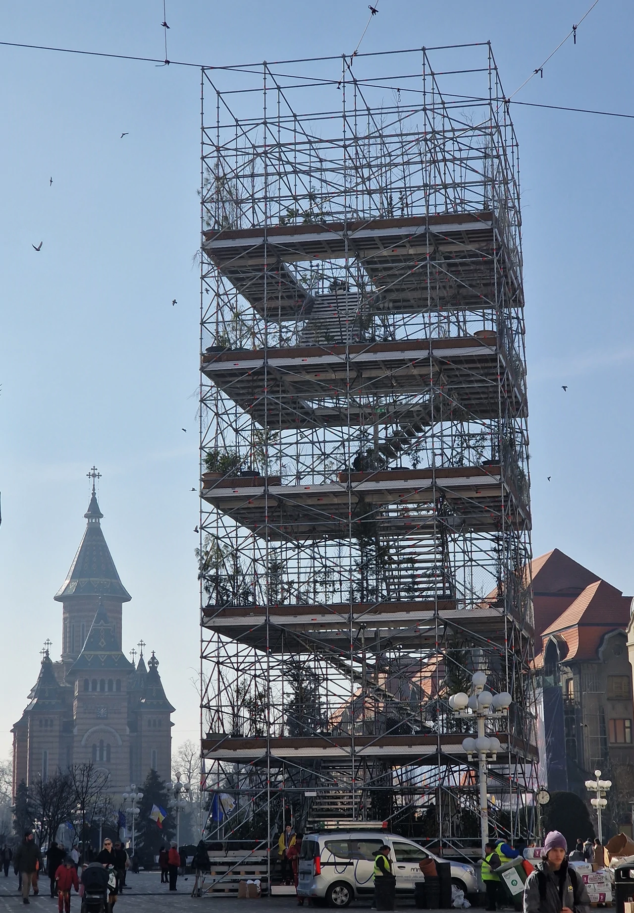 Pepiniera - 1306 biljaka za Temišvar