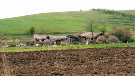 Wikimedia Commons