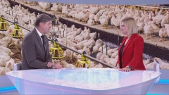 Problematika prehrambene sigurnosti