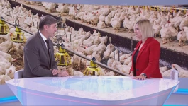 Problematika prehrambene sigurnosti