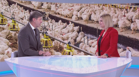 Problematika prehrambene sigurnosti