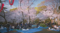 Subota, 2. svibnja na Drugom, Foto: James May: Naš čovjek u Japanu/dokumentarna serija